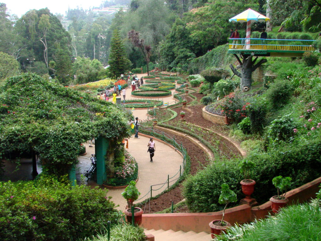 ooty 1